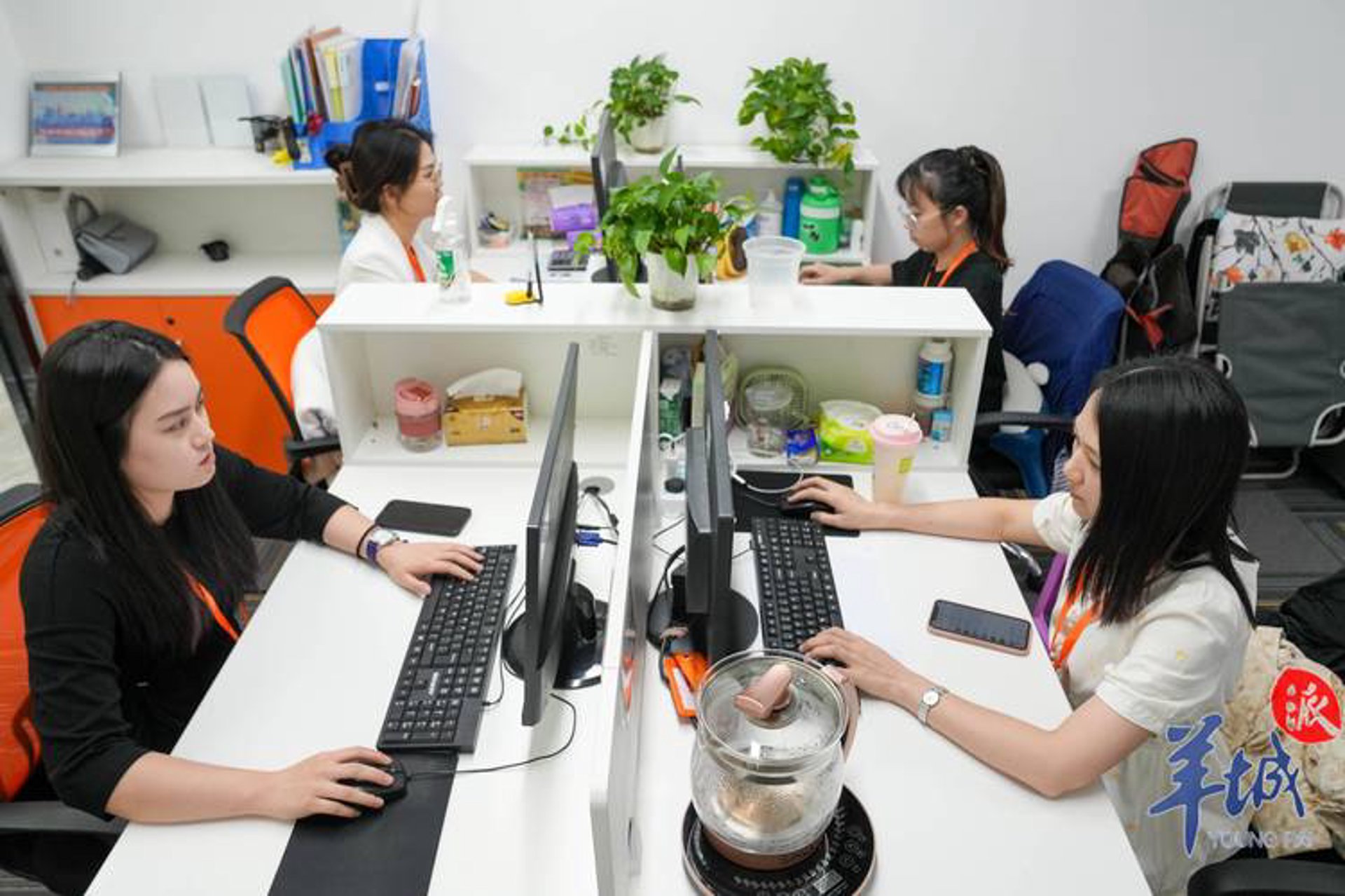 职考信息网